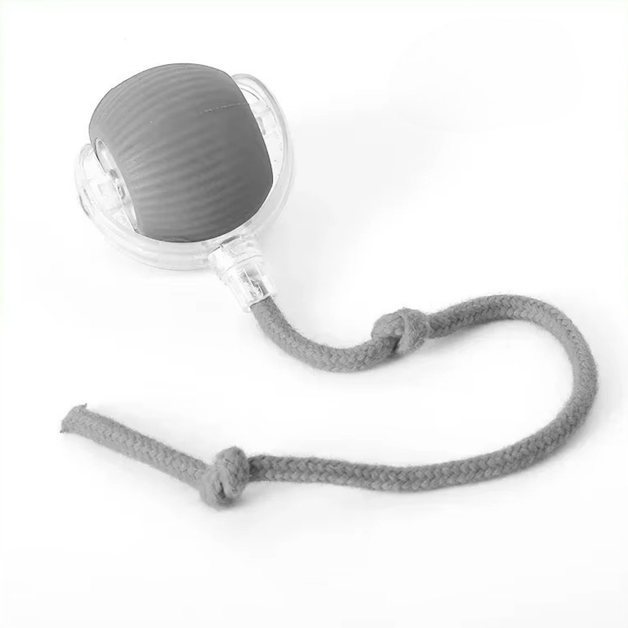 Interaktiver Spielball mit Schwanz für Hunde