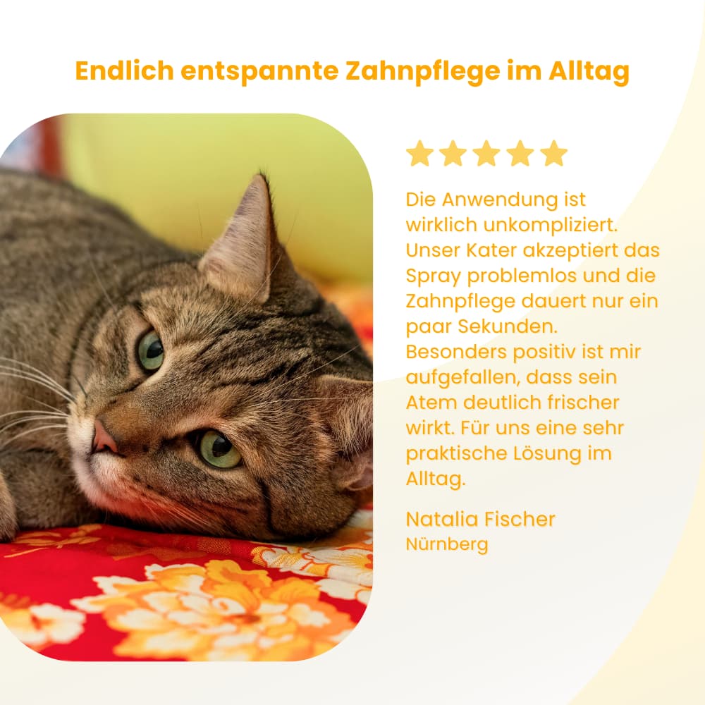 ZahnBalance Zahnpflegespray