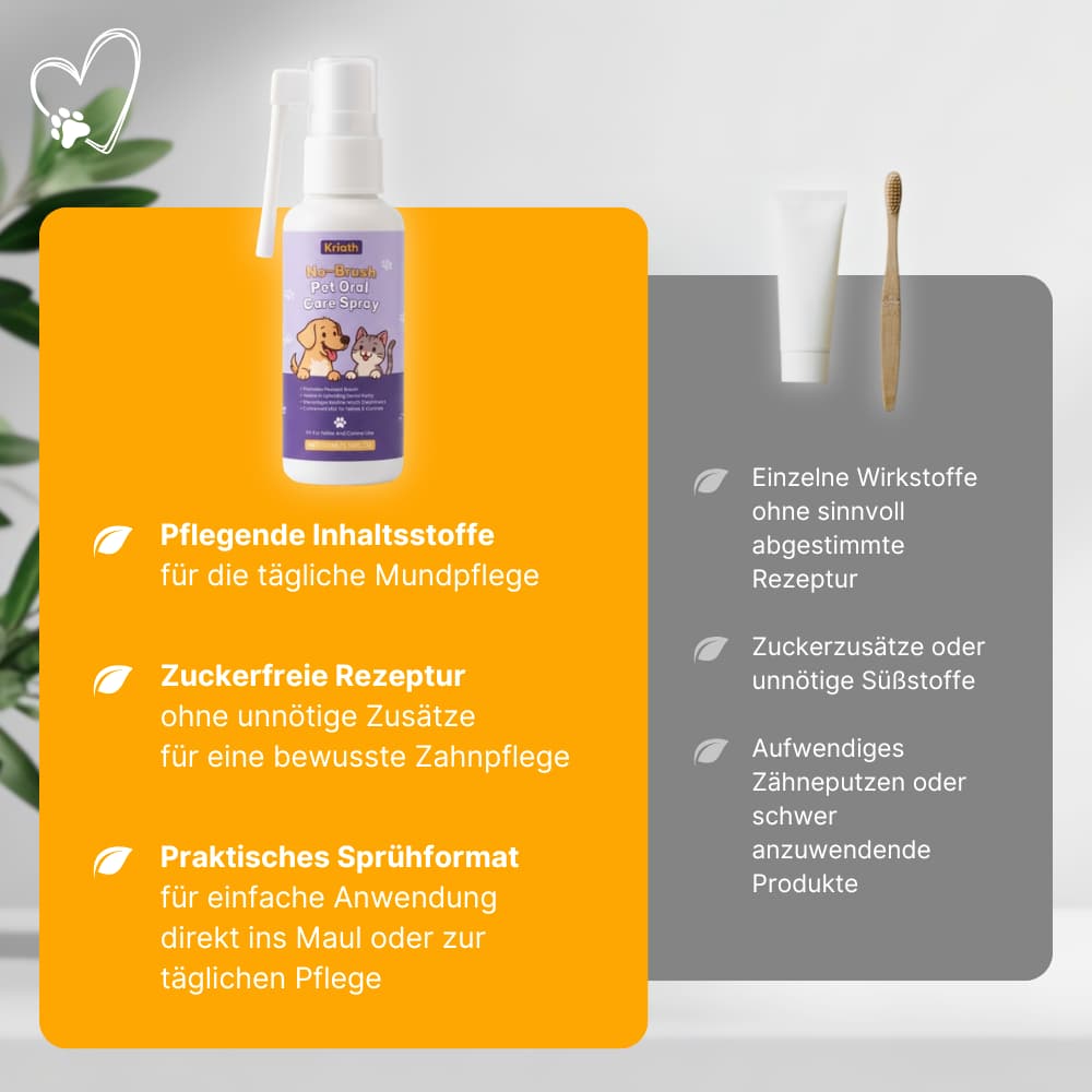 ZahnBalance Zahnpflegespray