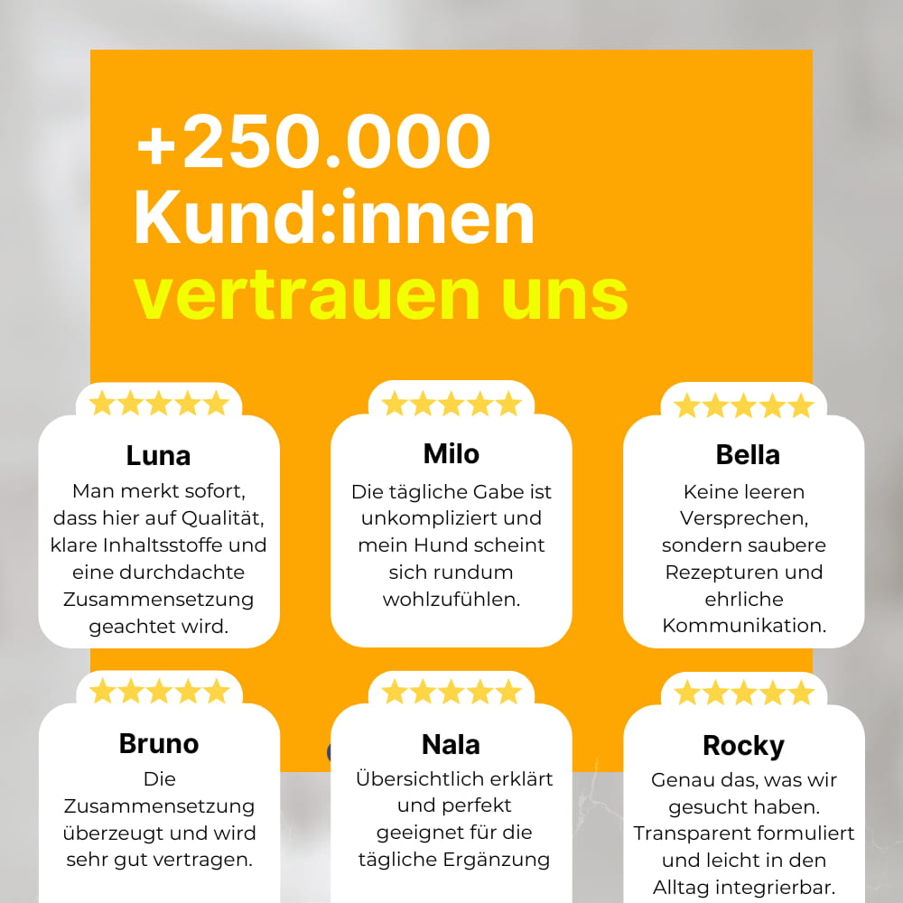 Allergie & Juckreiz Kausnacks für Hunde