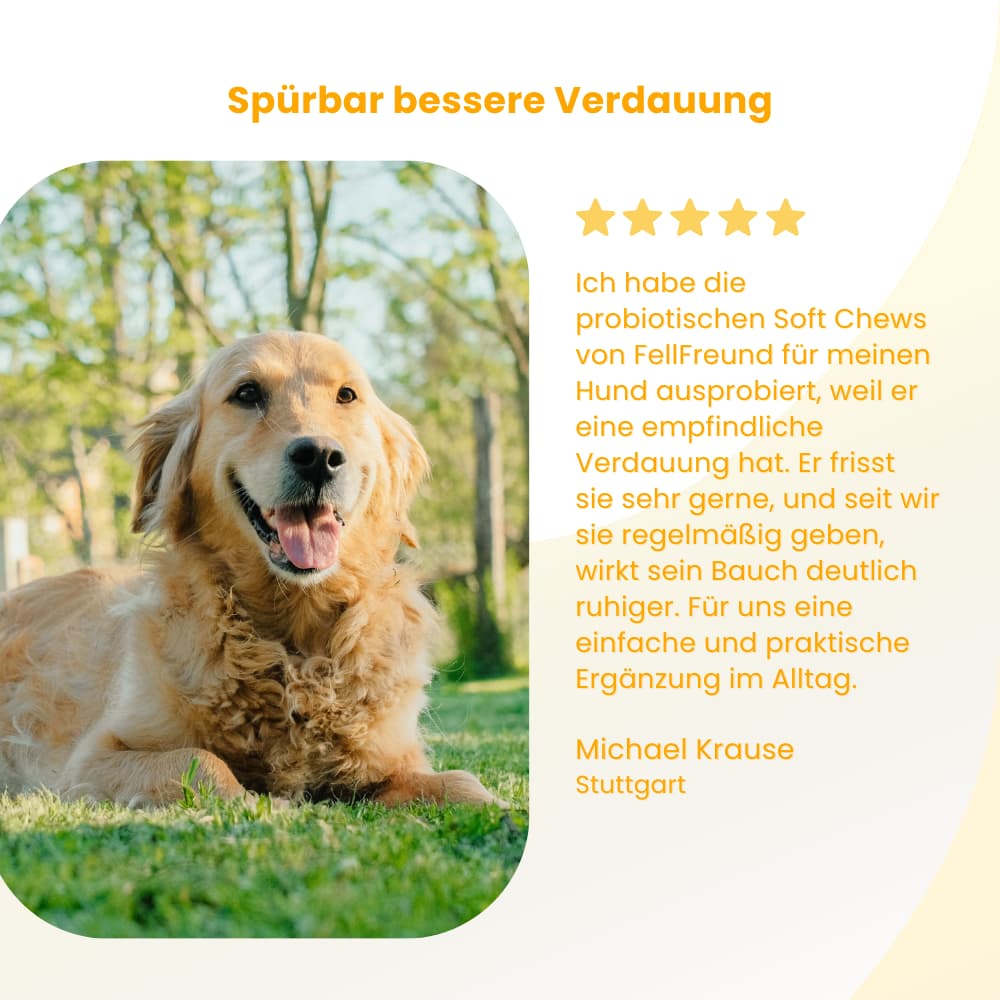 Probiotic Soft Chews for Dogs – Gut & Digestive Health