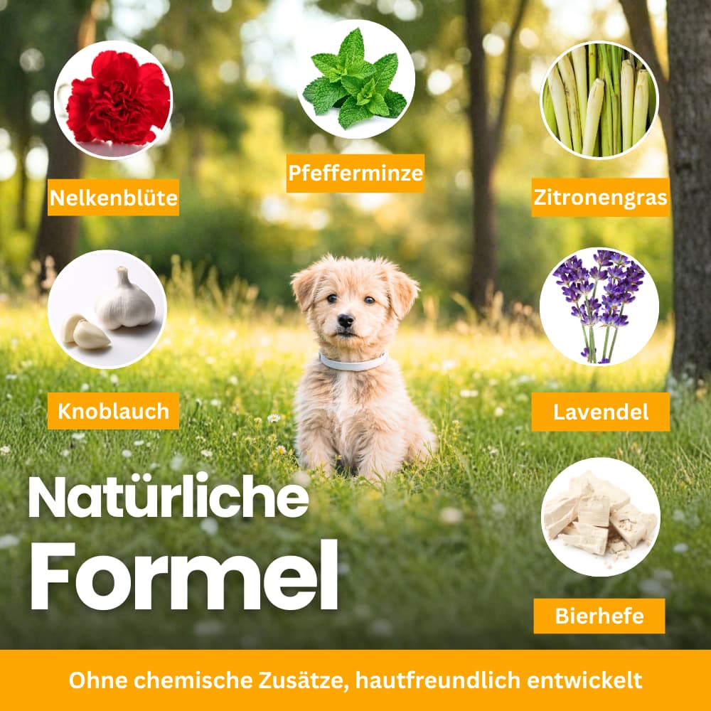 FellFreund Floh- & Zeckenschutz Duo