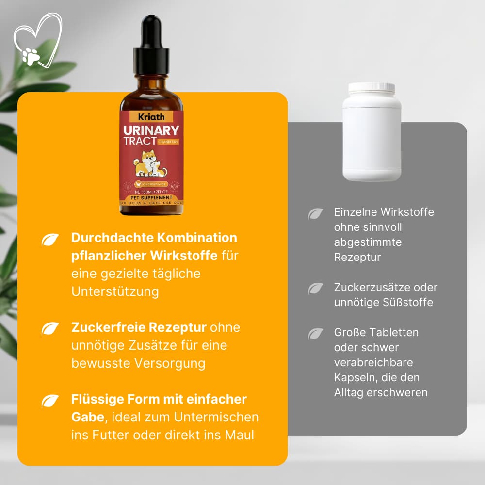 Harnweg-Pflege Tropfen für Hund & Katze