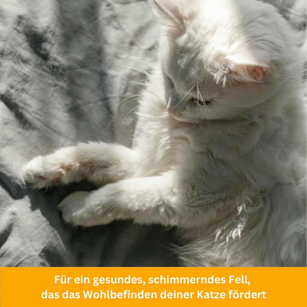 UV-Zeckenbürste für Katzen