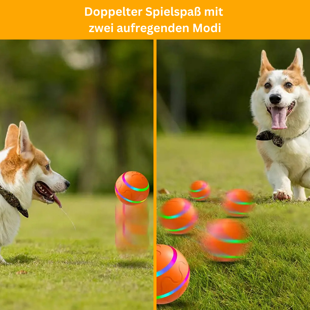 Aktiver rollender Ball für Hunde