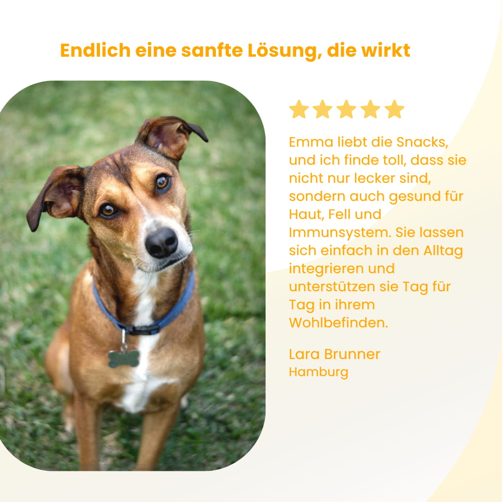 Allergie & Immun Kausnacks für Hunde
