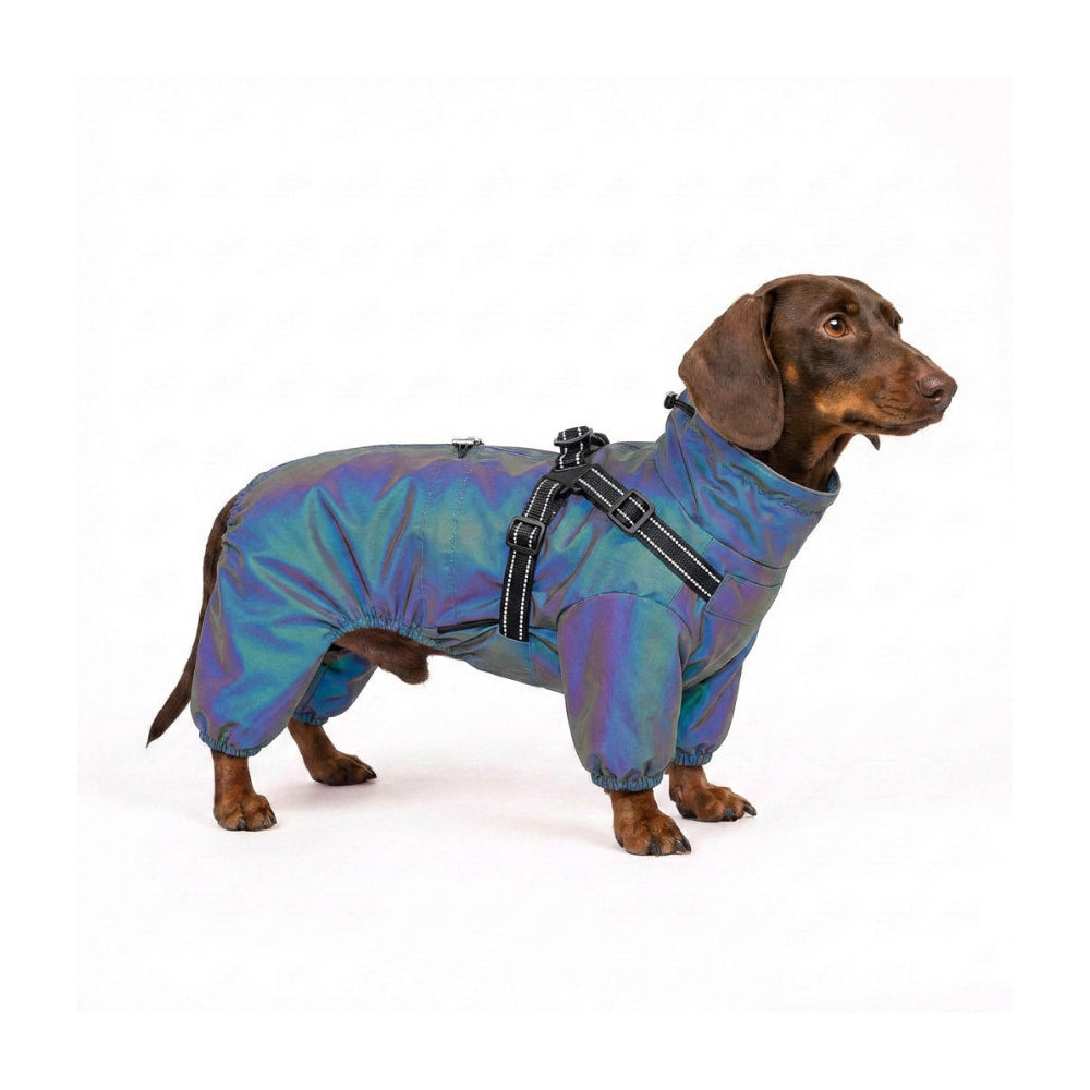 RainPaw - Wasserdichter Regenmantel für Hunde