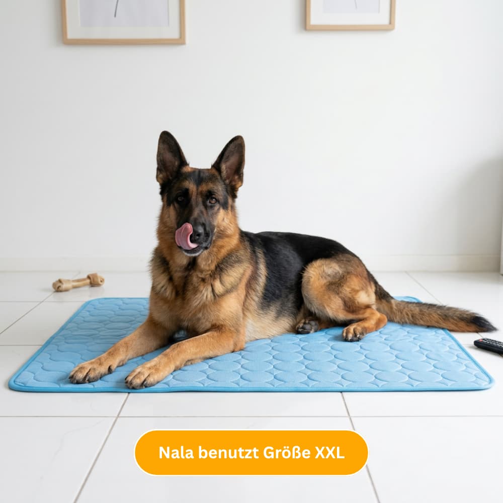 Premium Kühlmatte für Hunde