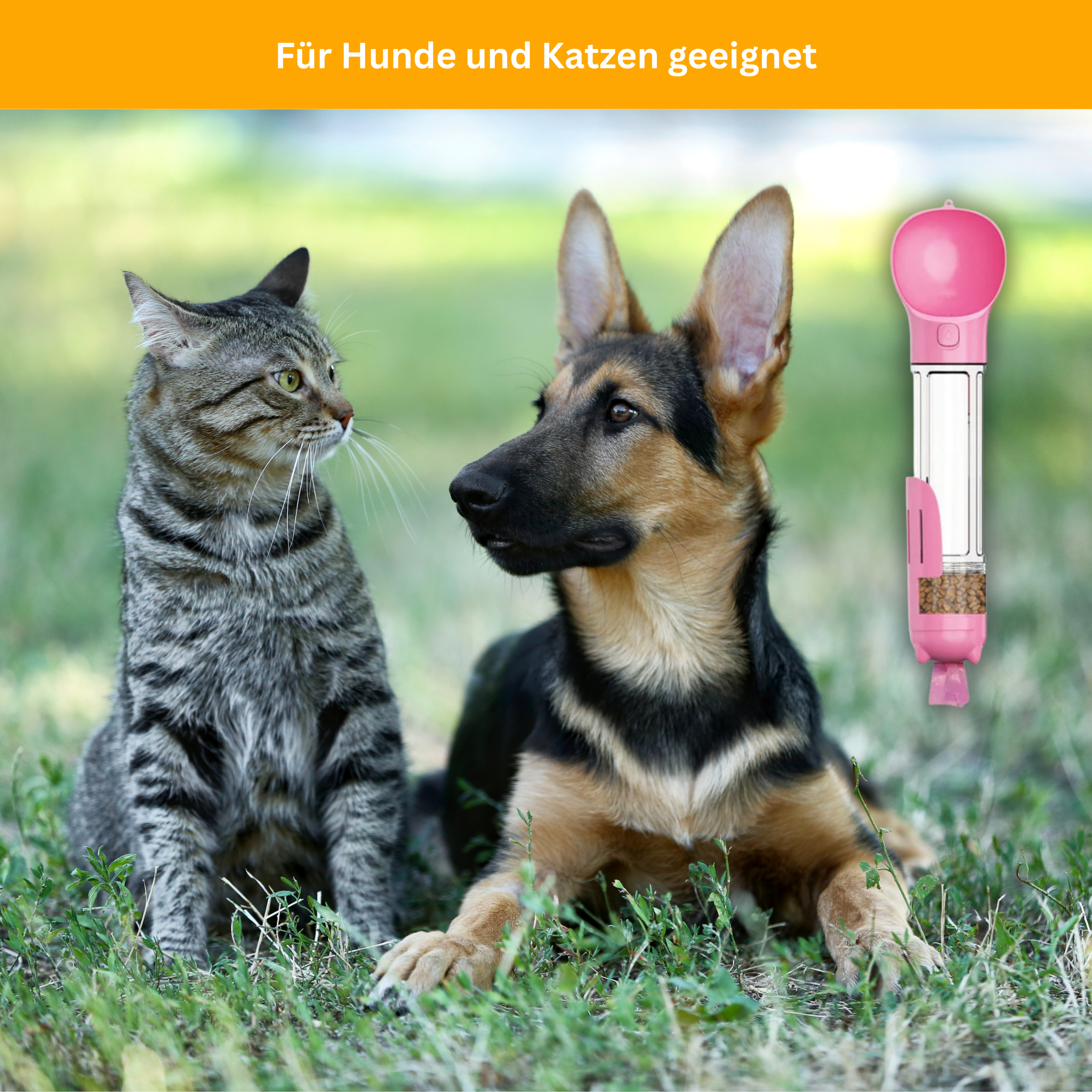 PetGo 5-in-1 Food & Water Bottle