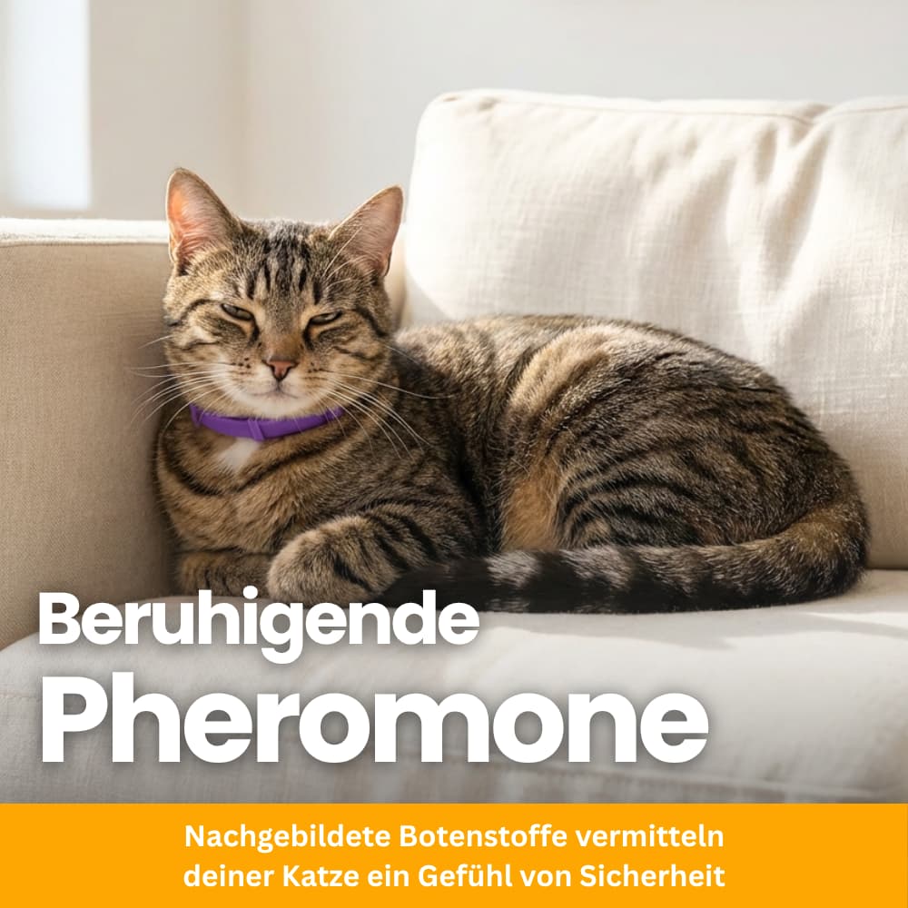 Tierfreundliches Anti-Stress Halsband für Katzen
