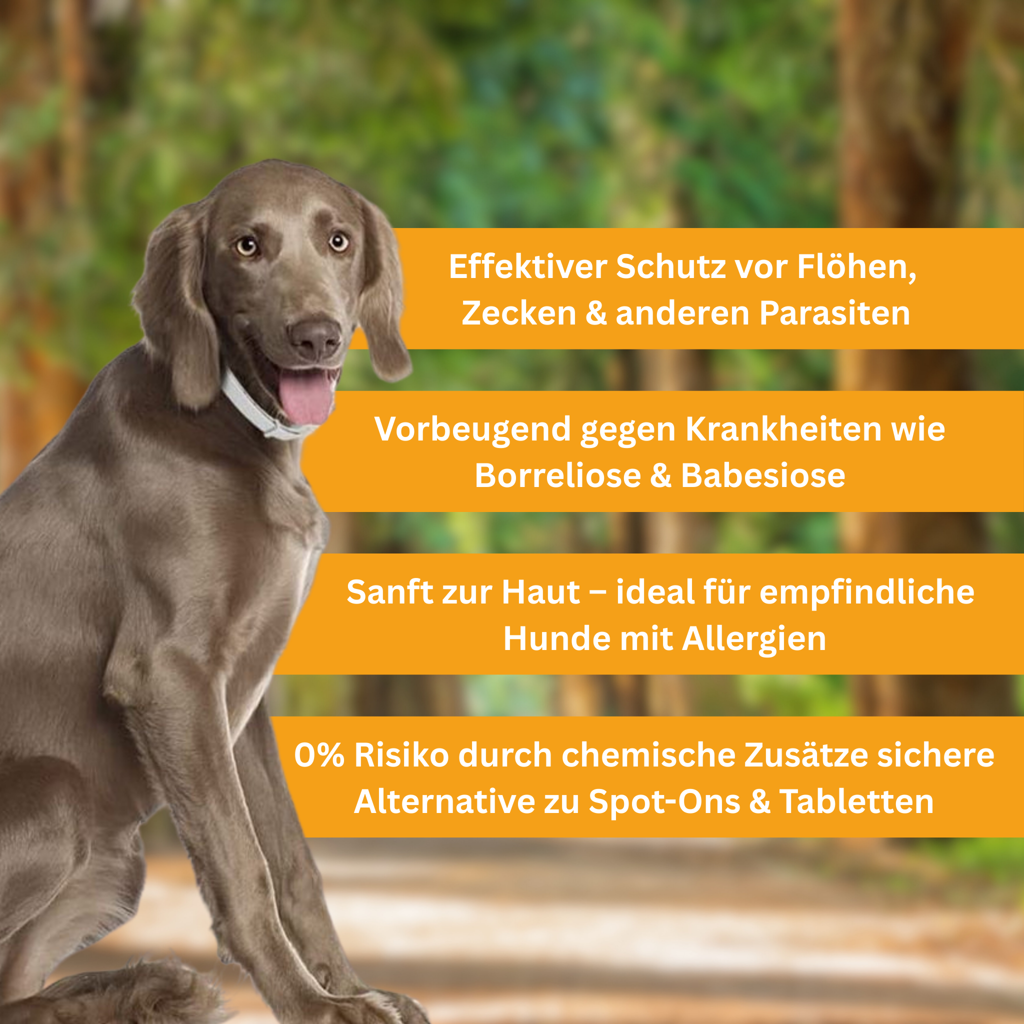 Floh- und Zeckenschutz Halsband für Hunde