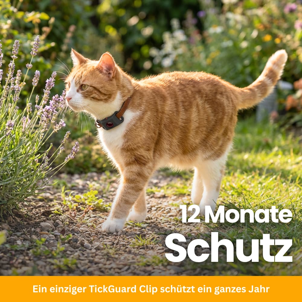 TickGuard Clip – gegen Zecken und Flöhe für Katzen