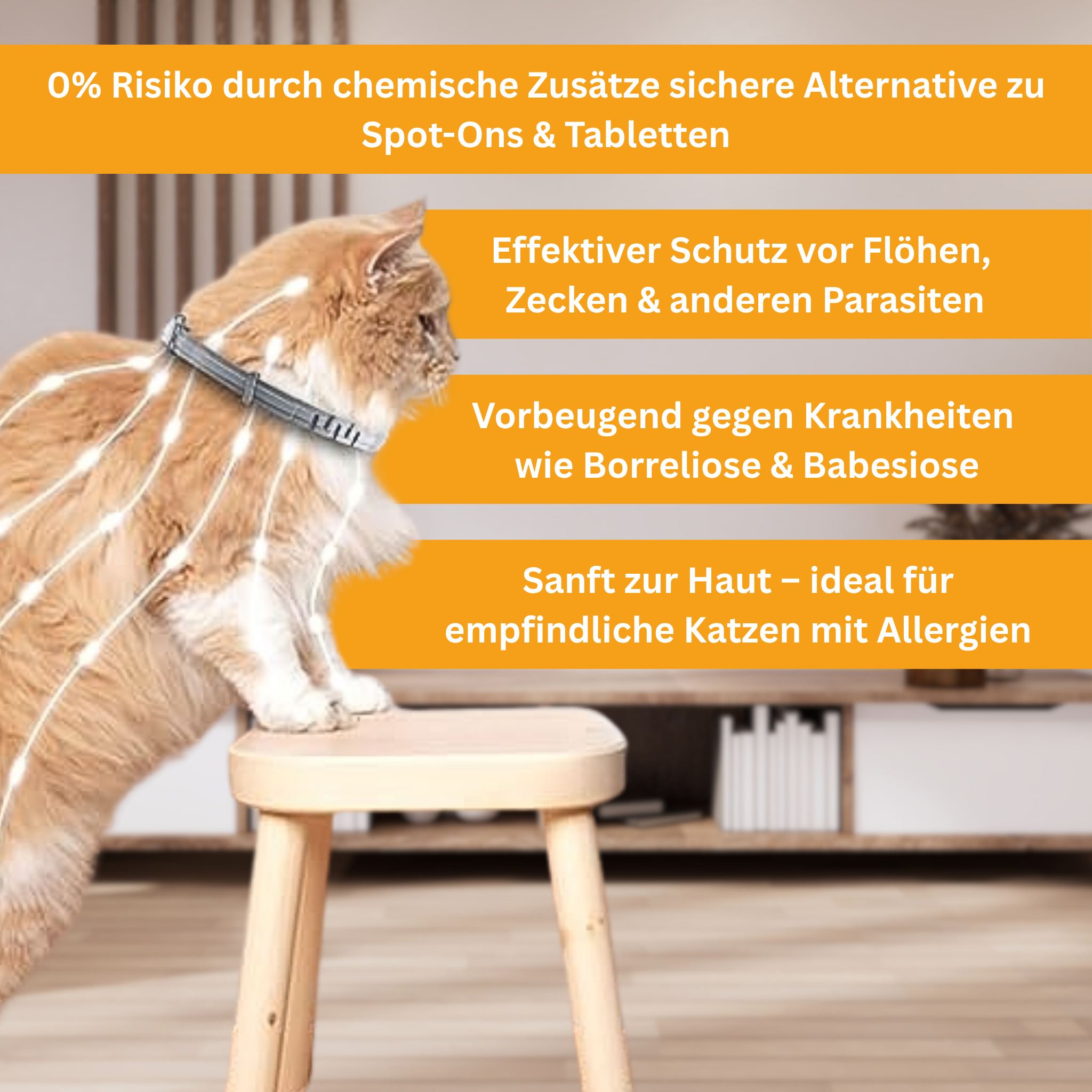 Floh- und Zeckenschutz Halsband für Katzen