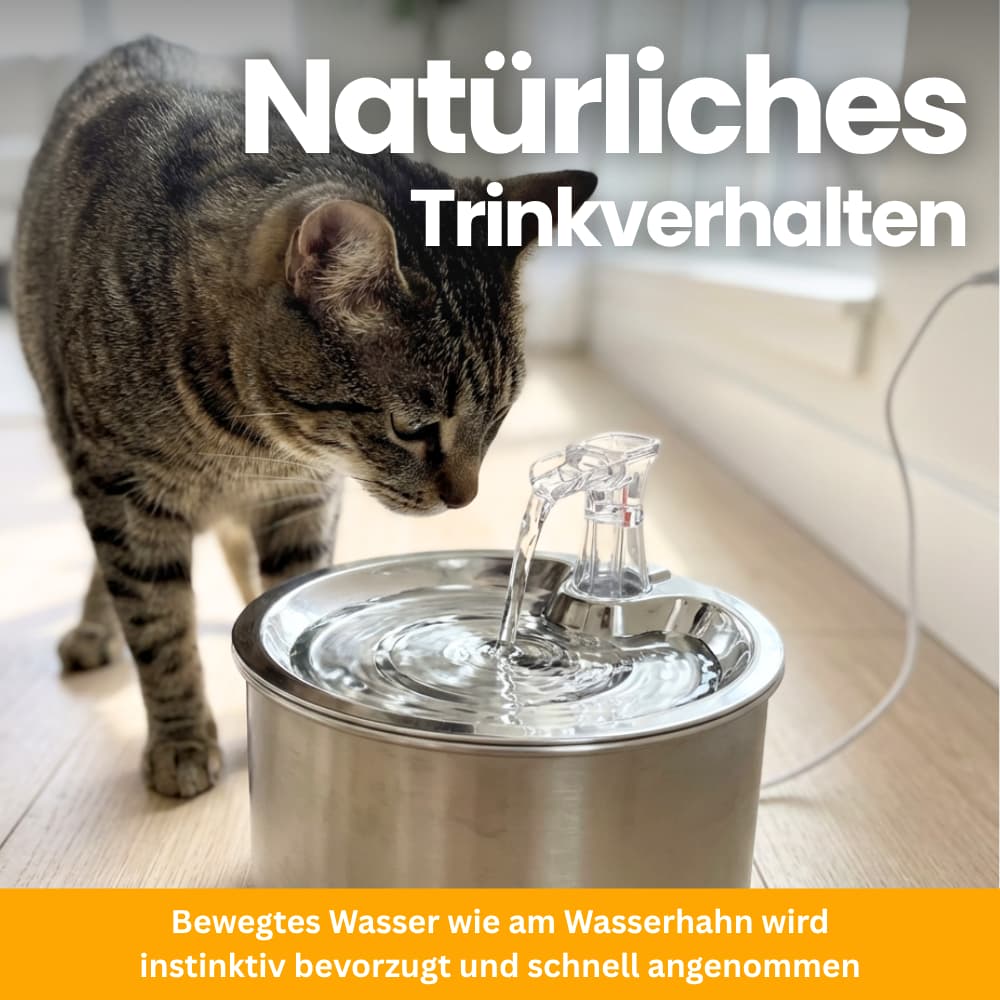 FreshFlow Edelstahlbrunnen