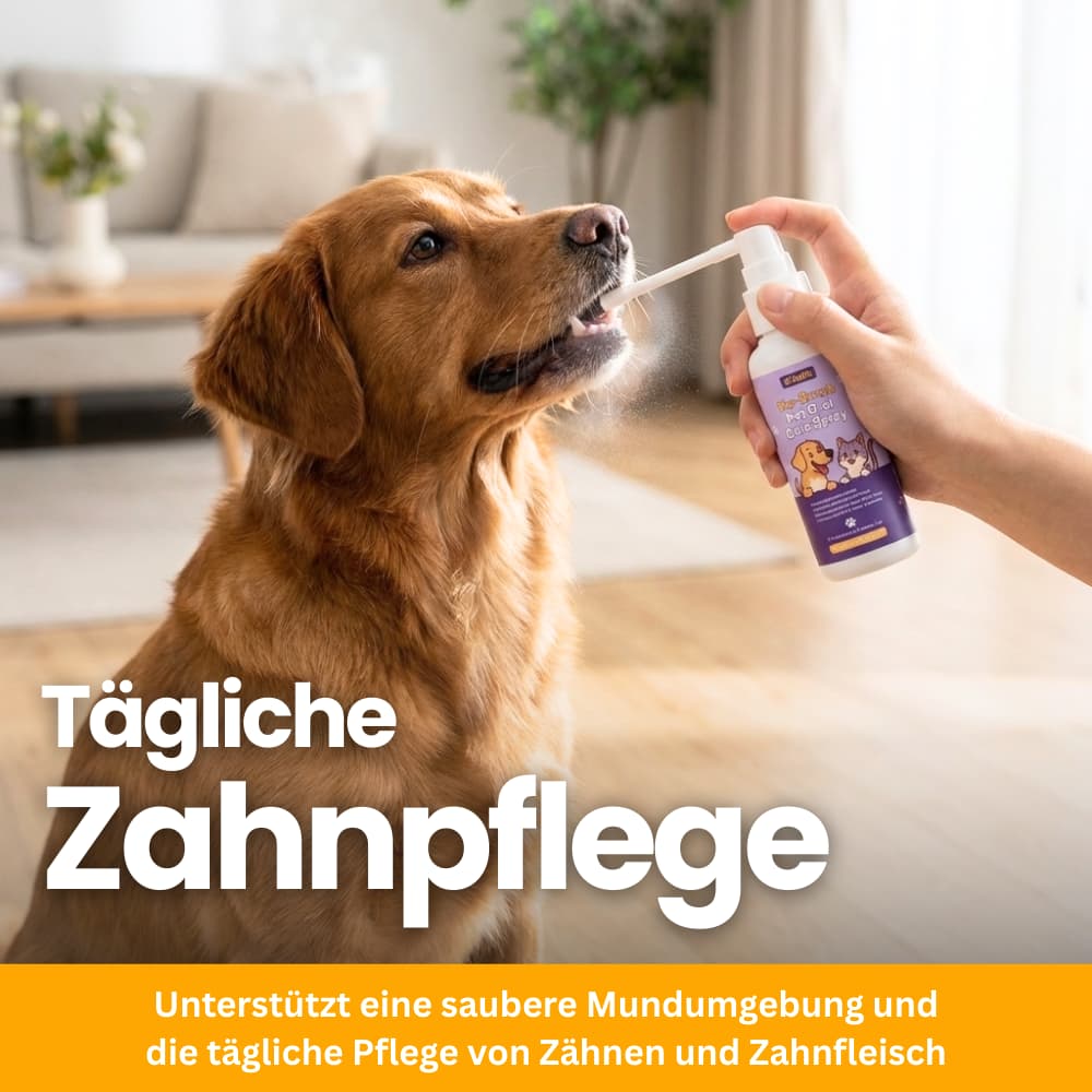 ZahnBalance Zahnpflegespray