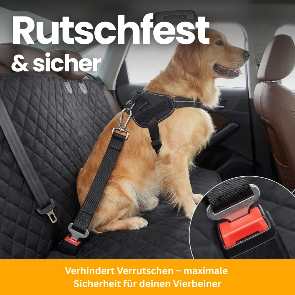 Stabiler Rücksitzschutz
