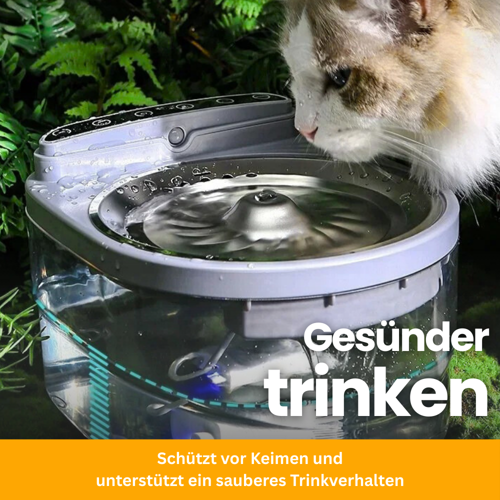 MeowDrink Ersatzfilter 10er Pack