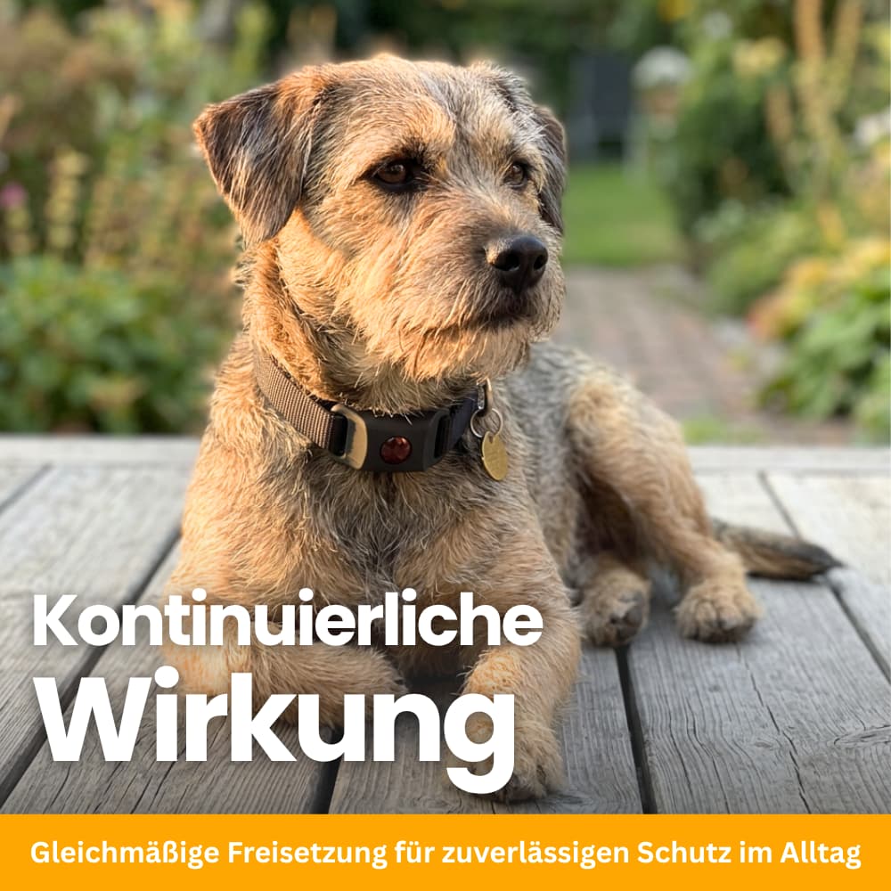 TickGuard Refill - Nachfüll-Einsätze