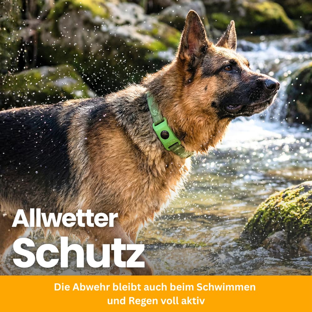 TickGuard Clip – gegen Zecken und Flöhe