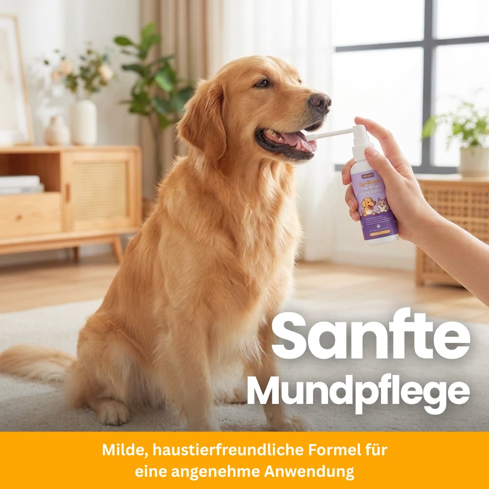 ZahnBalance Zahnpflegespray