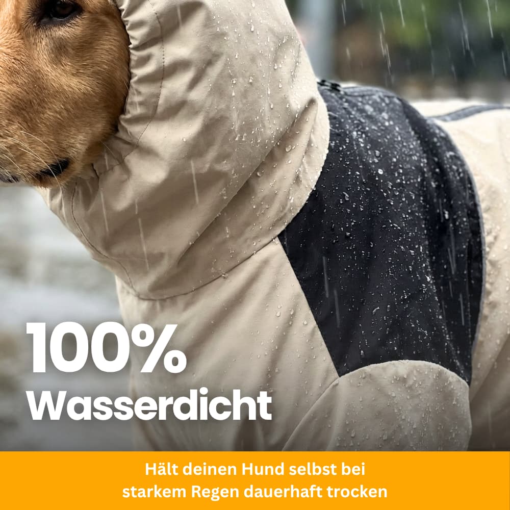 StormGuard - Regen- & Windschutz für Hunde