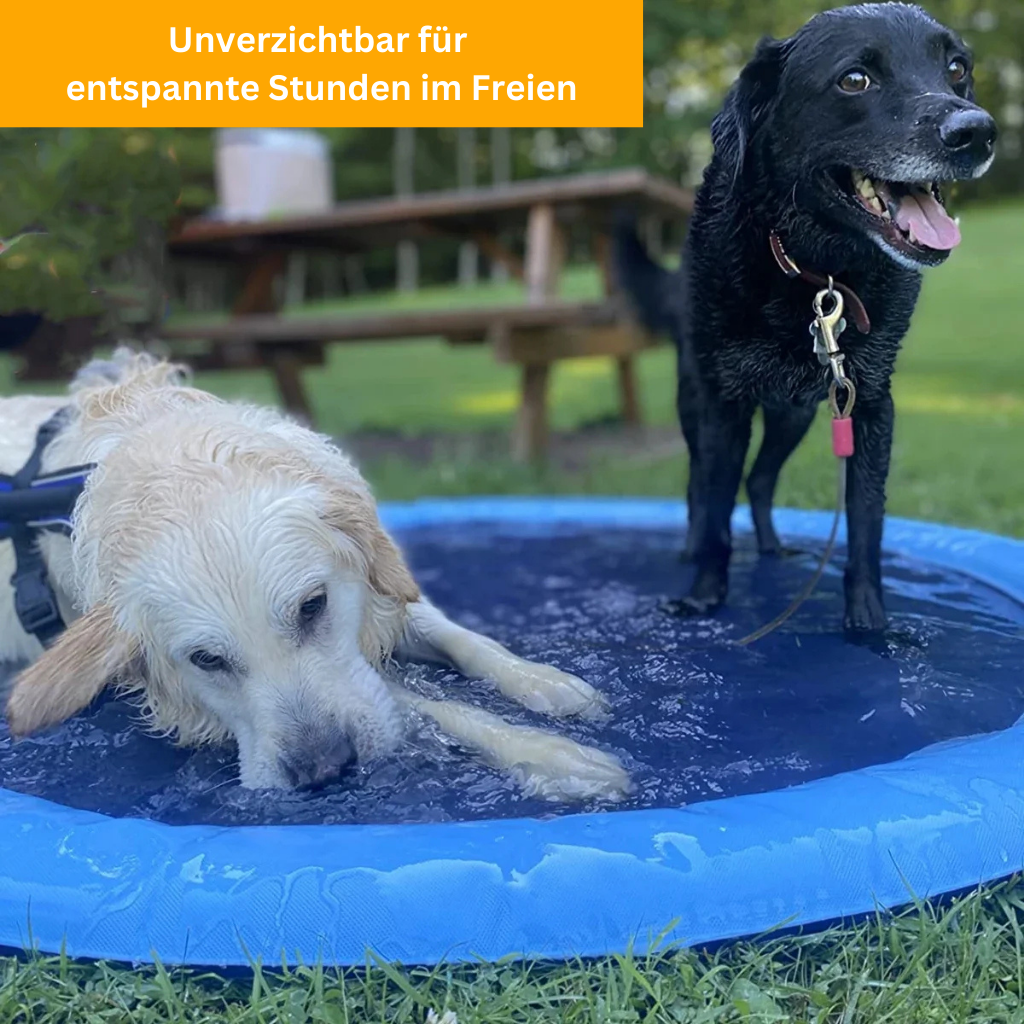 Dog Splash - Erfrischende Hundesprinkleranlage