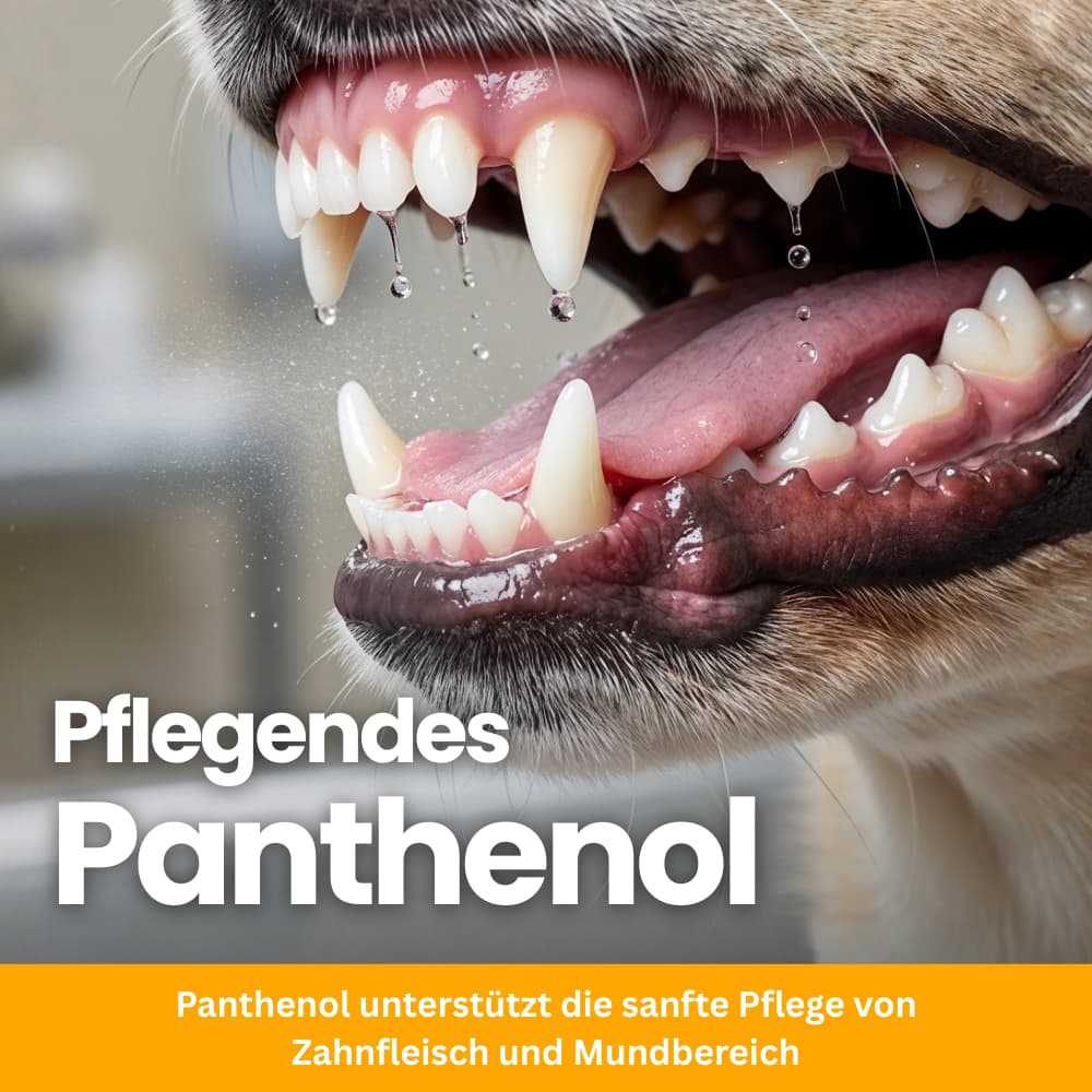 ZahnBalance Zahnpflegespray