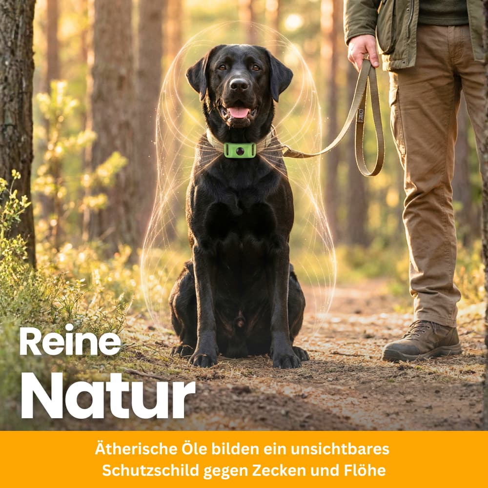 TickGuard Clip – gegen Zecken und Flöhe