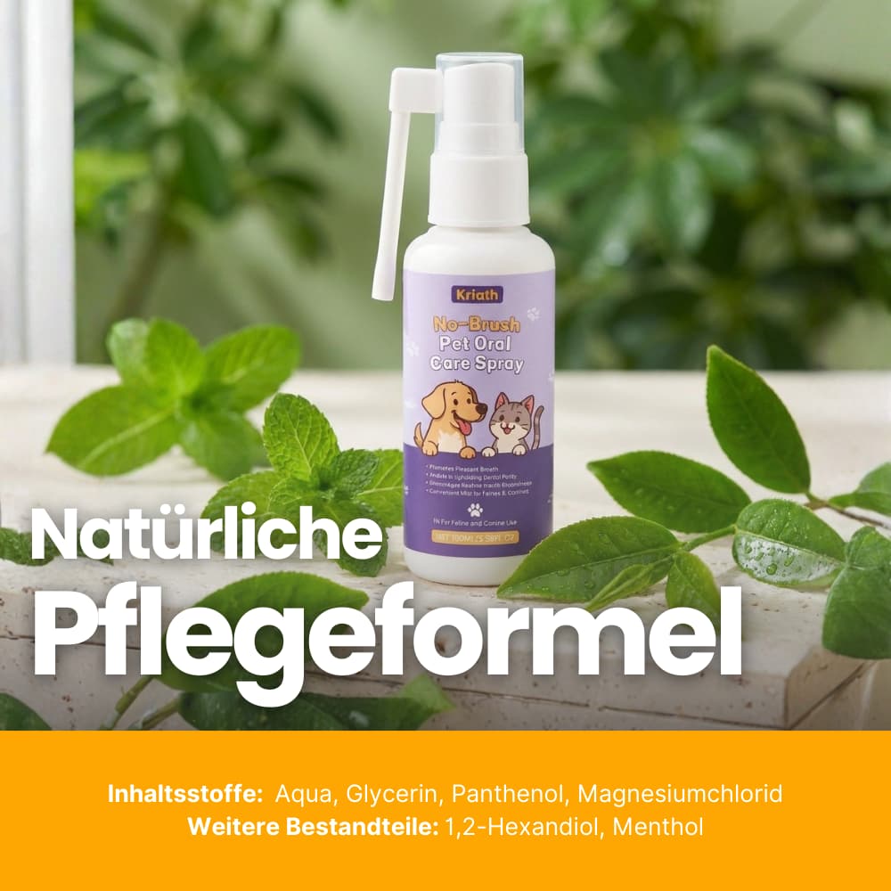 ZahnBalance Zahnpflegespray