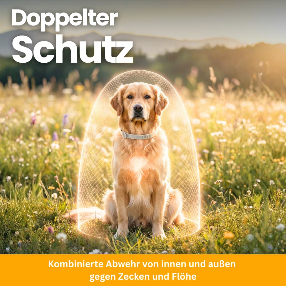 FellFreund Floh- & Zeckenschutz Duo