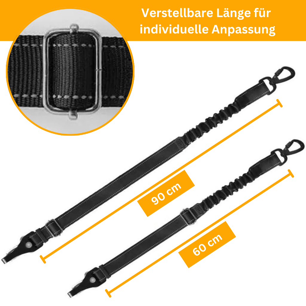 PetSecure 3-in-1 Safety Harness