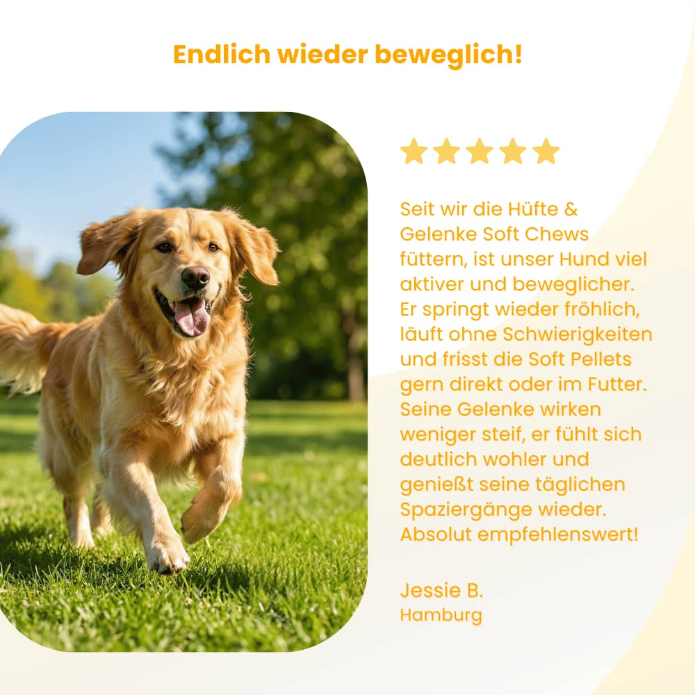 Hip & Joint Soft Chews for Dogs