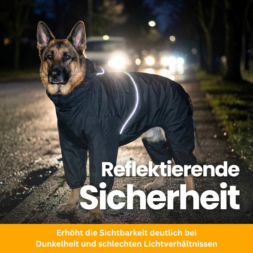 StormGuard - Regen- & Windschutz für Hunde