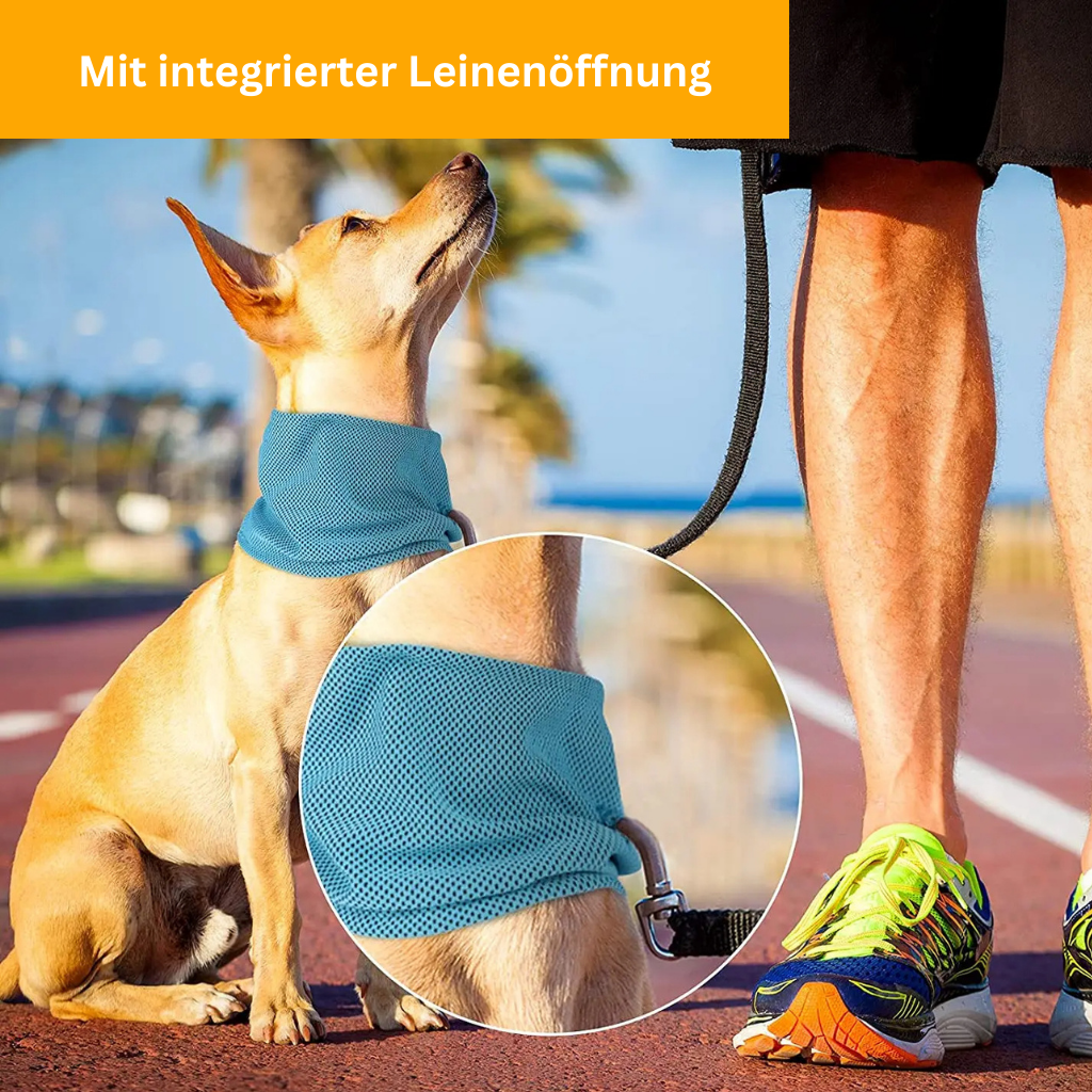 Cooling Collar Cool Comfort