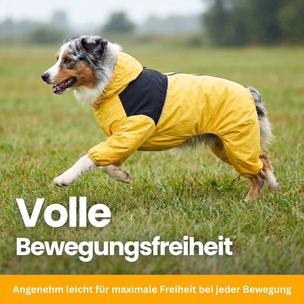 StormGuard - Regen- & Windschutz für Hunde