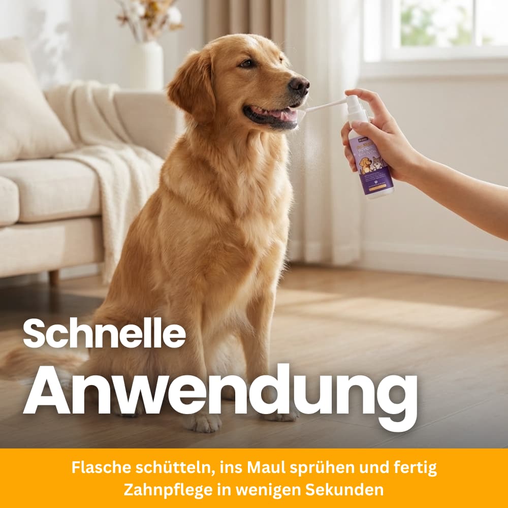 ZahnBalance Zahnpflegespray