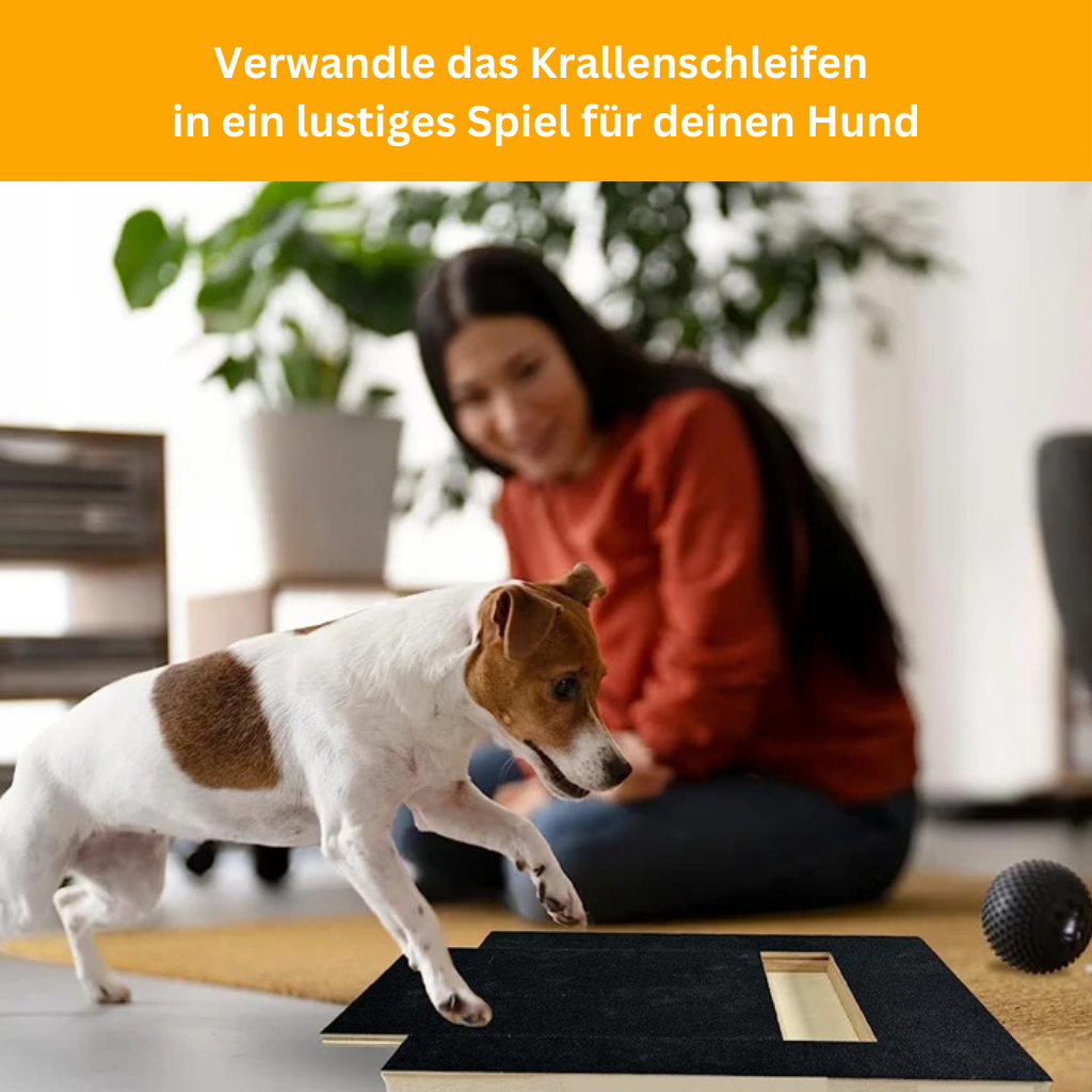 Scratch Board for Dogs – Stress-Free Nail Filing for Your Dog