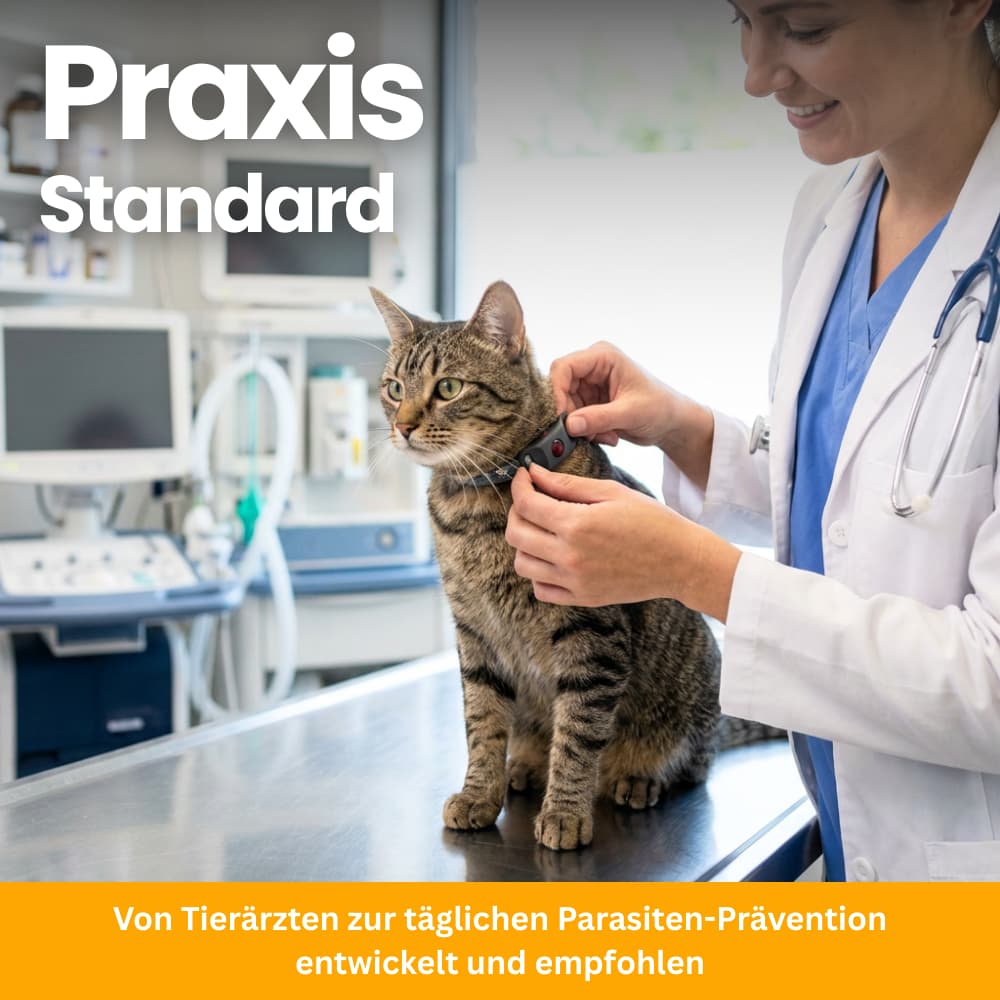 TickGuard Clip – gegen Zecken und Flöhe für Katzen