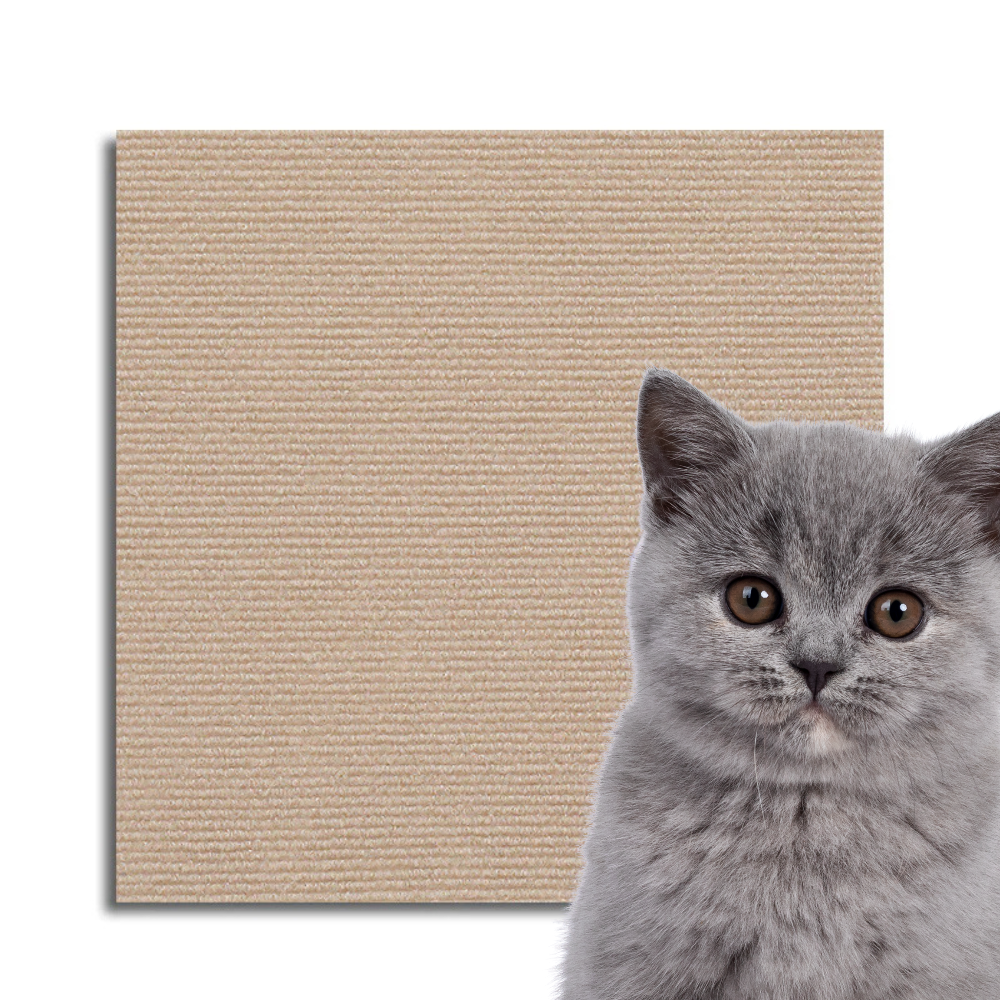 Universeller Katzen Kratzschutz