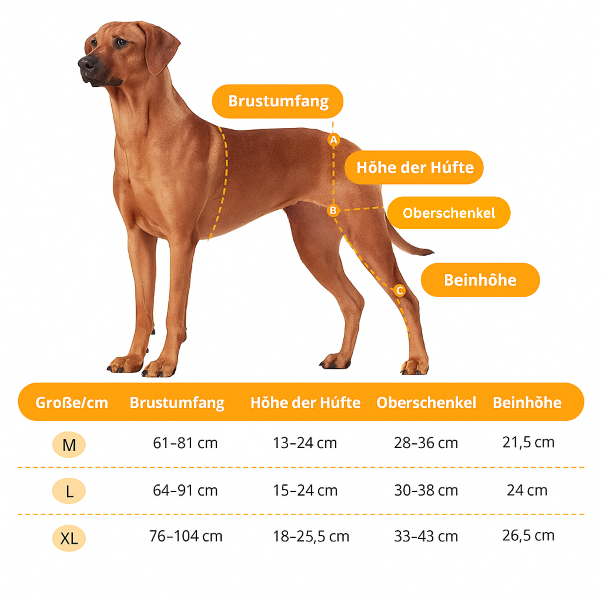 DualBrace – Beinorthese mit Scharniergelenk