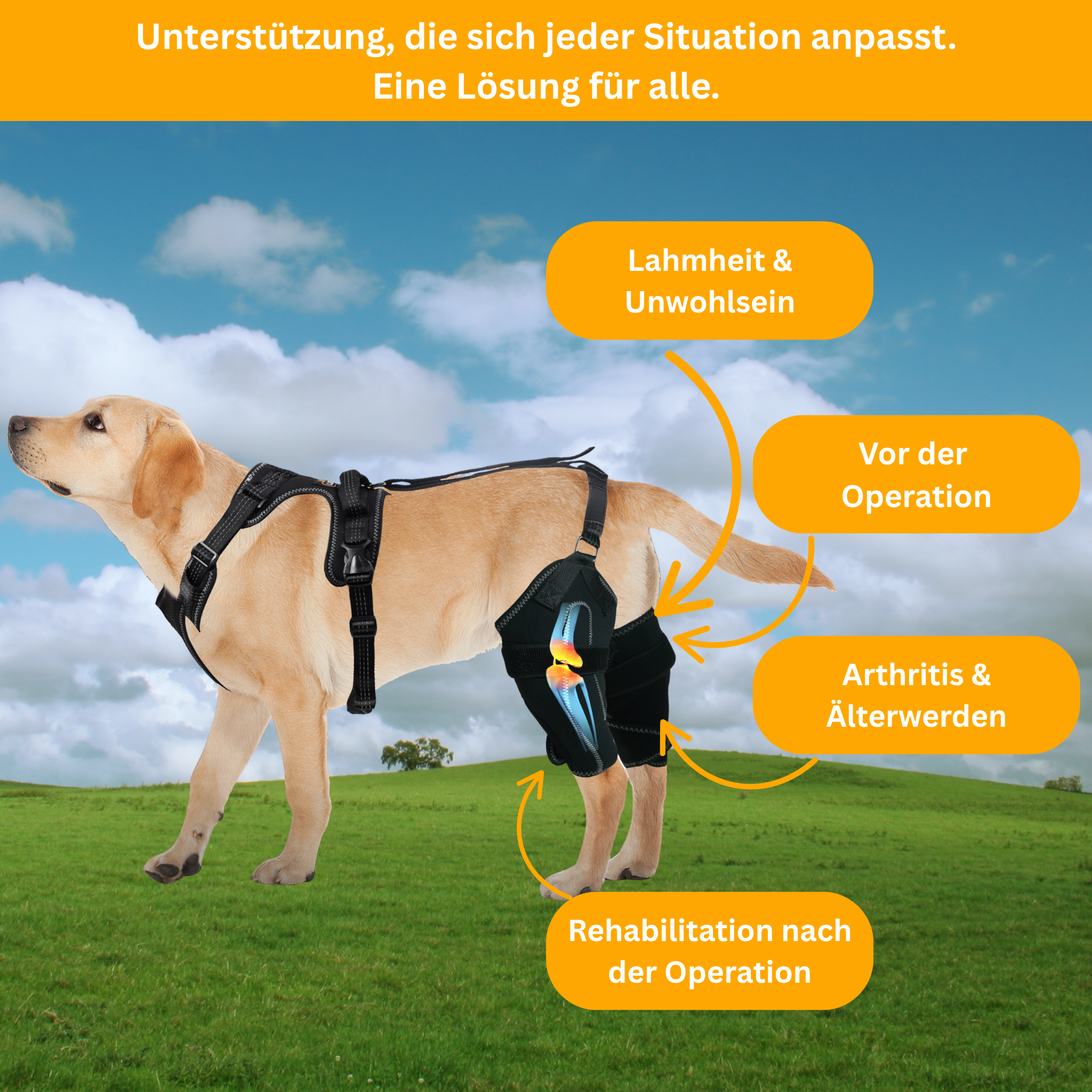 DualBrace – Beinorthese mit Scharniergelenk