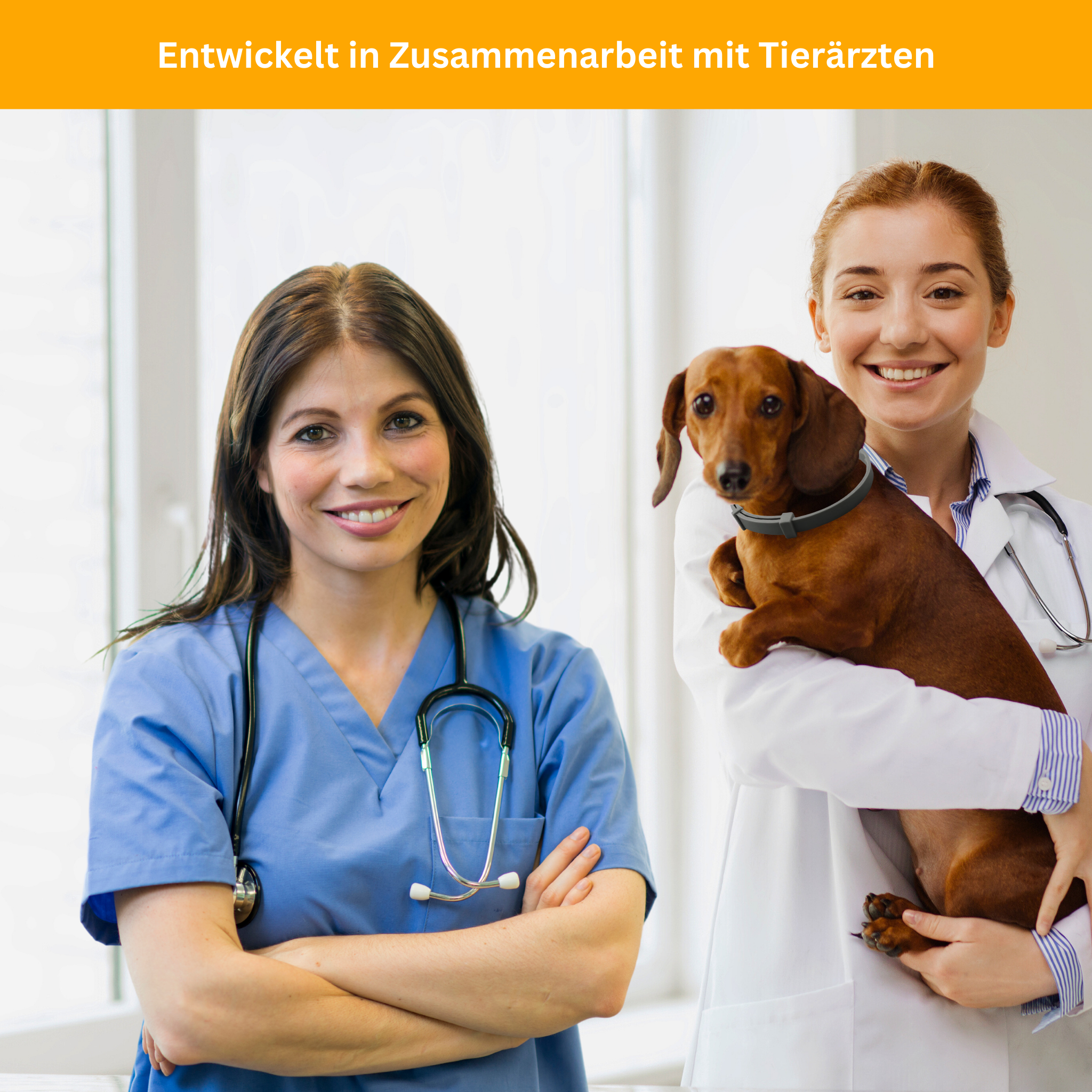 Floh- und Zeckenschutz Halsband für Hunde