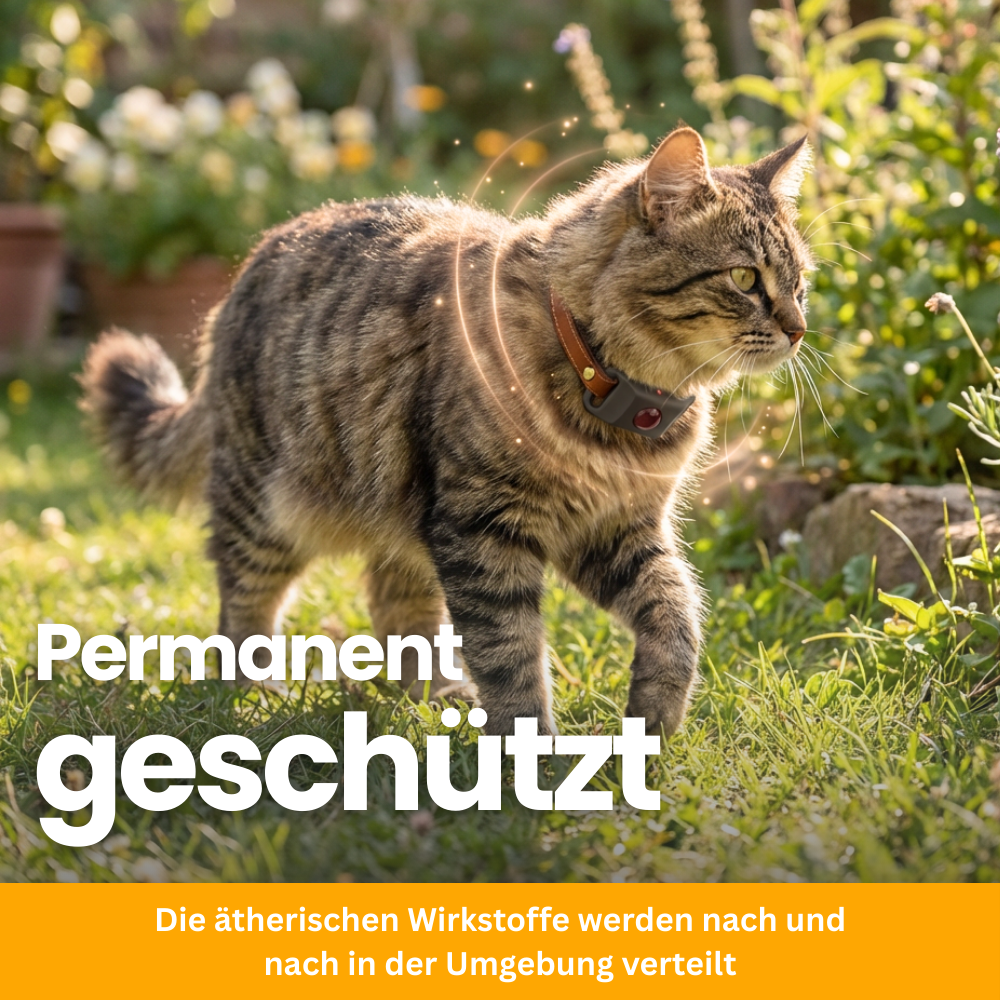 TickGuard Clip – gegen Zecken und Flöhe für Katzen