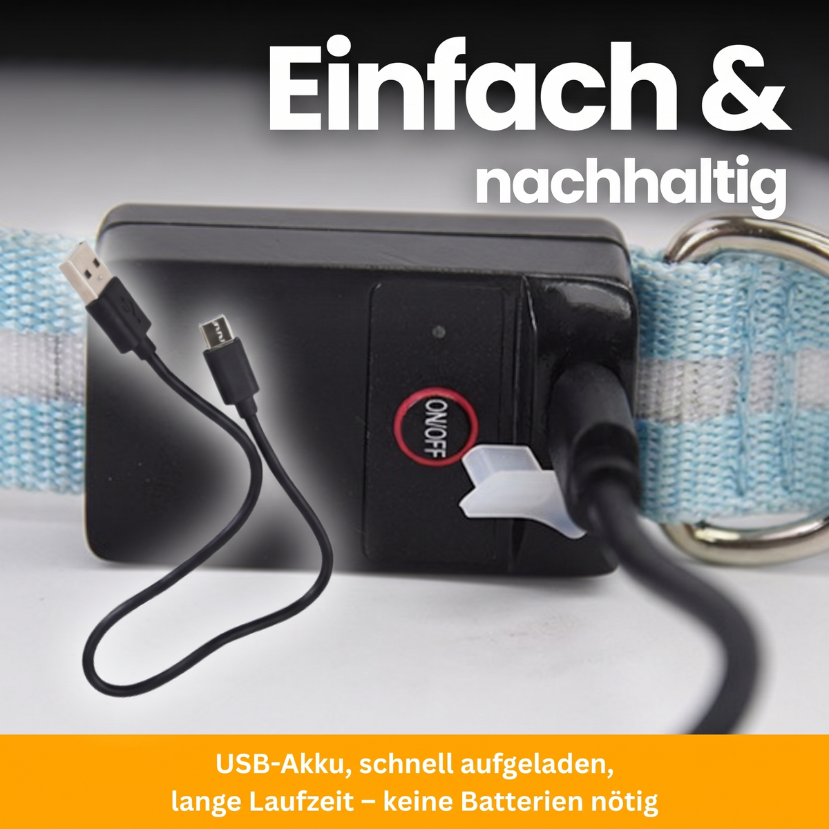 LED-Leuchthalsband Pro