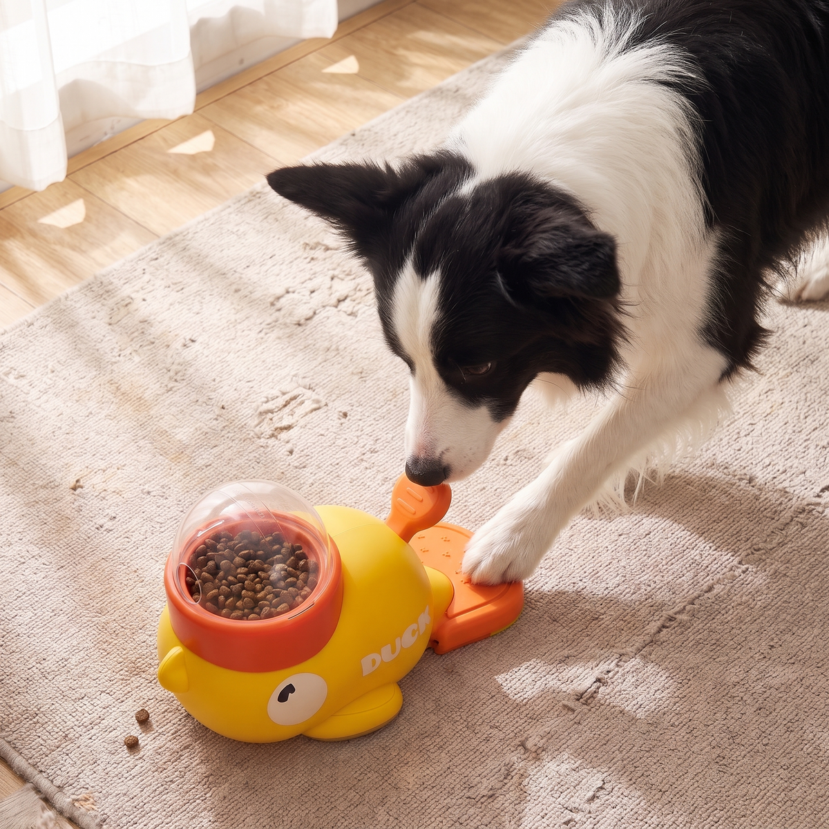 Hund spielt allein mit Quacki und drückt mit der Pfote das Pedal