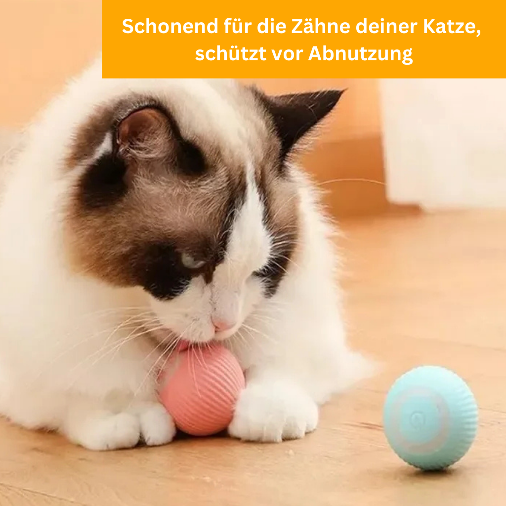 PowerBall 2.0 - Smartes Katzenspielzeug