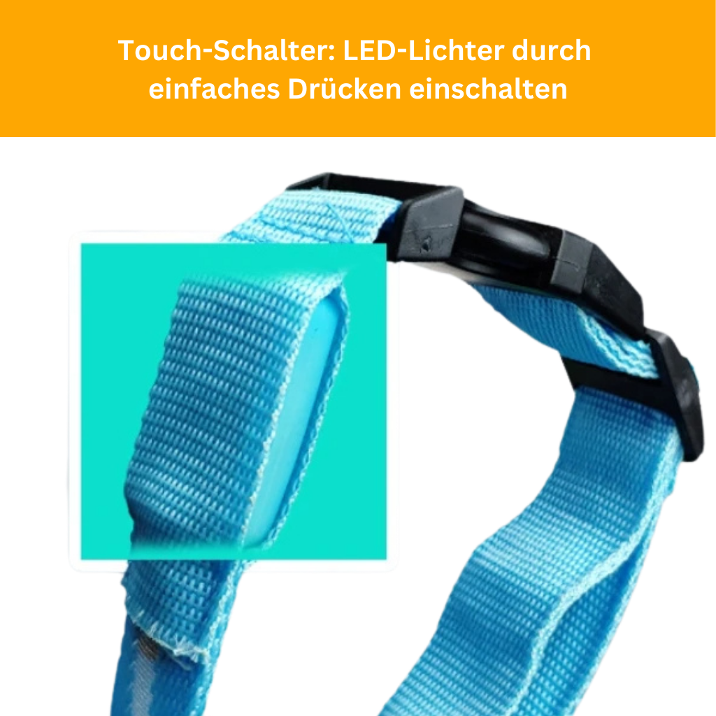 LED Light-Up Collar [Buy 1 Get 1 Free]