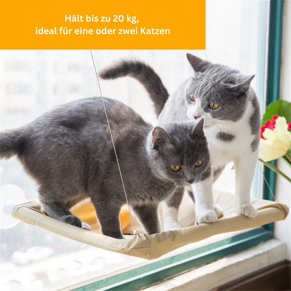 Cat Hammock – Chill