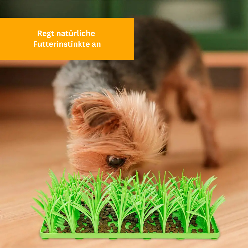 Treat Meadow for Dogs