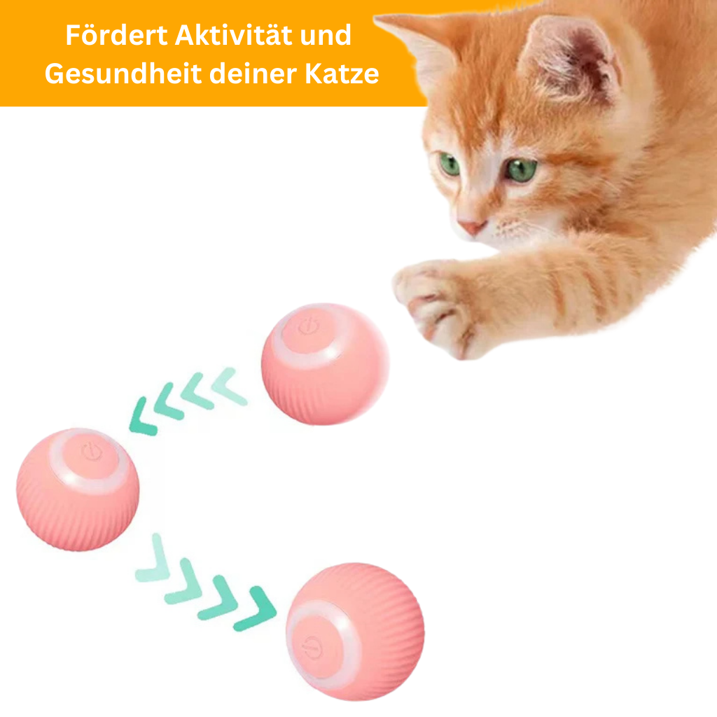 PowerBall 2.0 - Smartes Katzenspielzeug